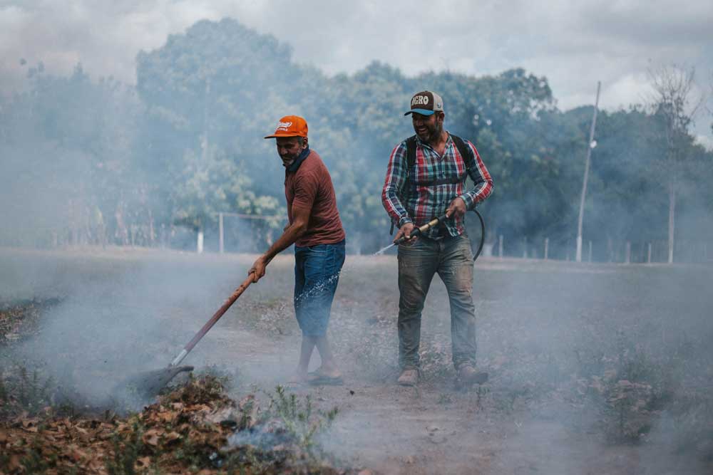 Brazilian Amazon Avoided Deforestation