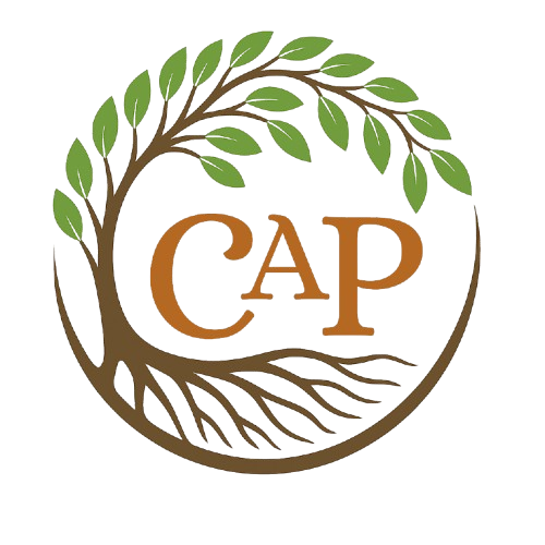 Climate Action Partners