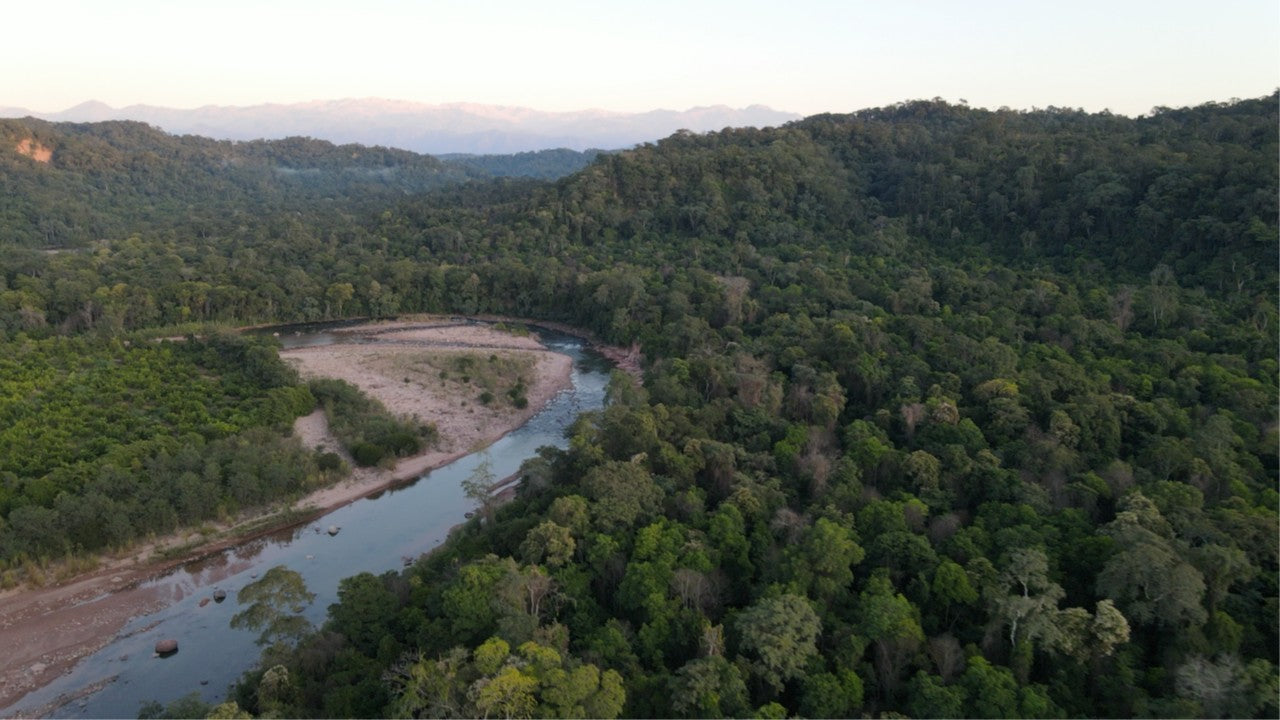 Selva de Urundel (Argentina) Reduced Emissions from Deforestation and Forest Degradation