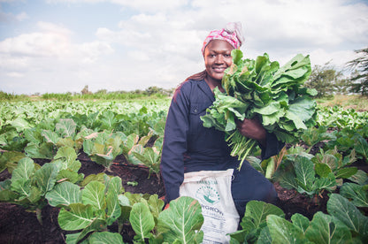 Sanitation services and waste upcycling in Kenya