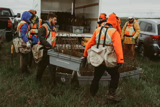 Tree Planting: Sudbury Landscape Restoration