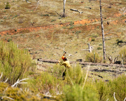 Tree Planting: California Post Fire Restoration