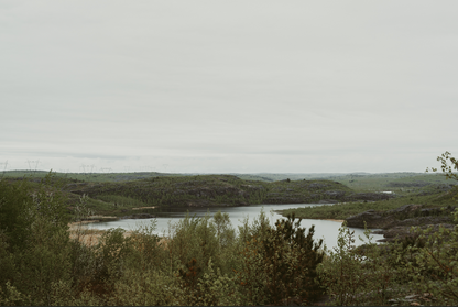 Tree Planting: Sudbury Landscape Restoration