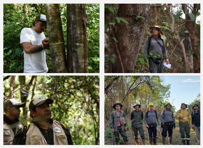 Selva de Urundel (Argentina) Reduced Emissions from Deforestation and Forest Degradation